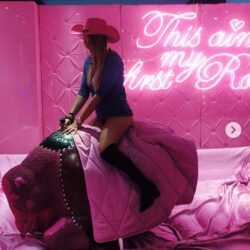 Img-noleggio toro meccanico